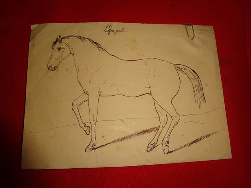 Anonyme cheval espagnol - -,