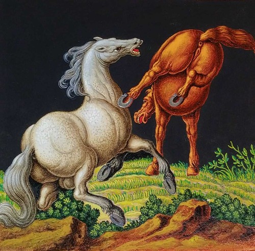 Chevaux battant aquarelle - chevaux, battant.