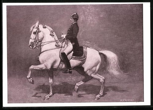 Vienne école équitation - école, d'équitation